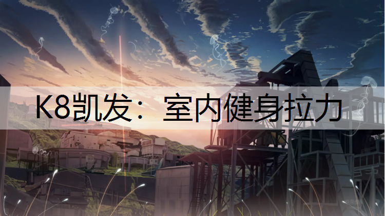 K8凯发：室内健身拉力