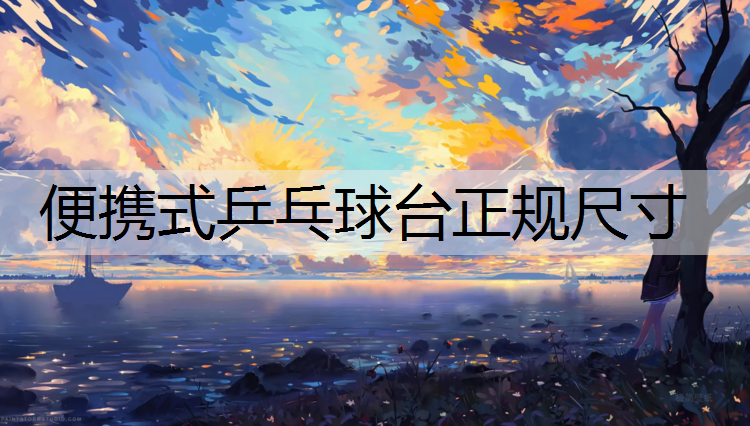 便携式乒乓球台正规尺寸