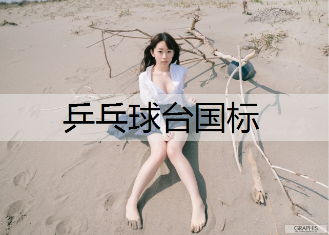 乒乓球台国标