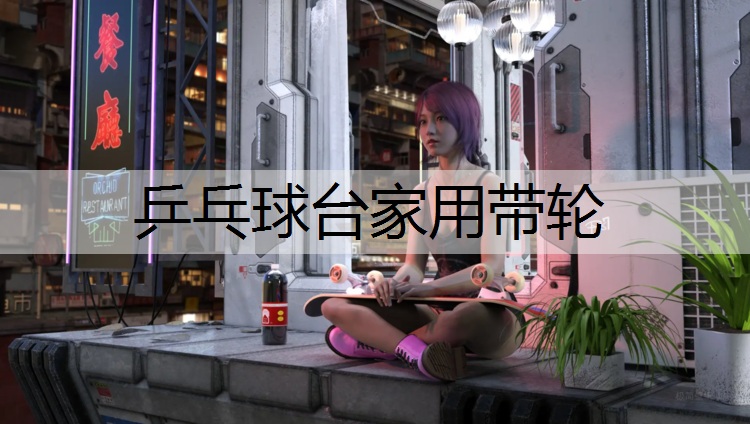 乒乓球台家用带轮