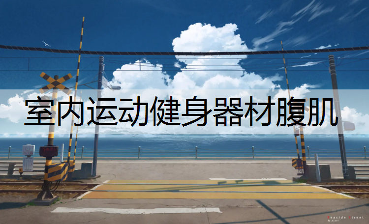 室内运动健身器材腹肌