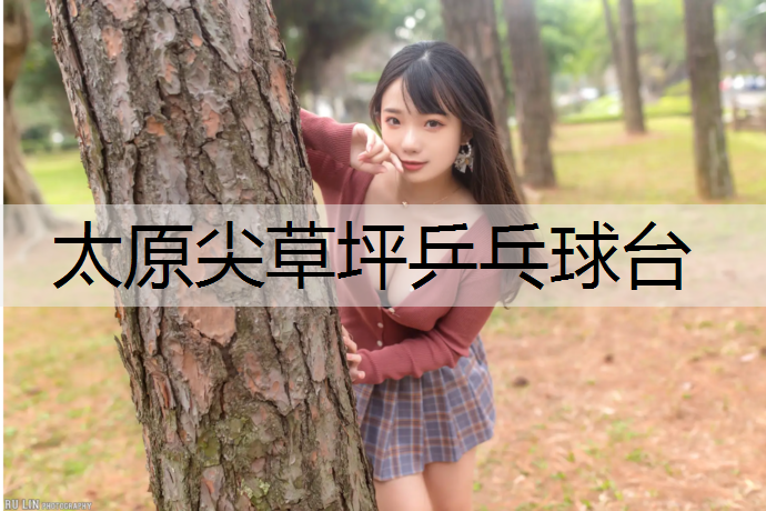 太原尖草坪乒乓球台