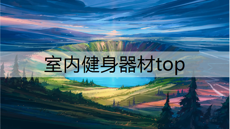 室内健身器材top