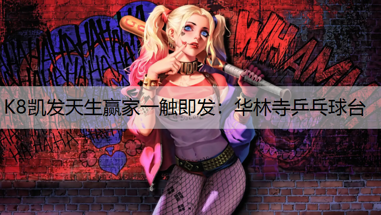 华林寺乒乓球台
