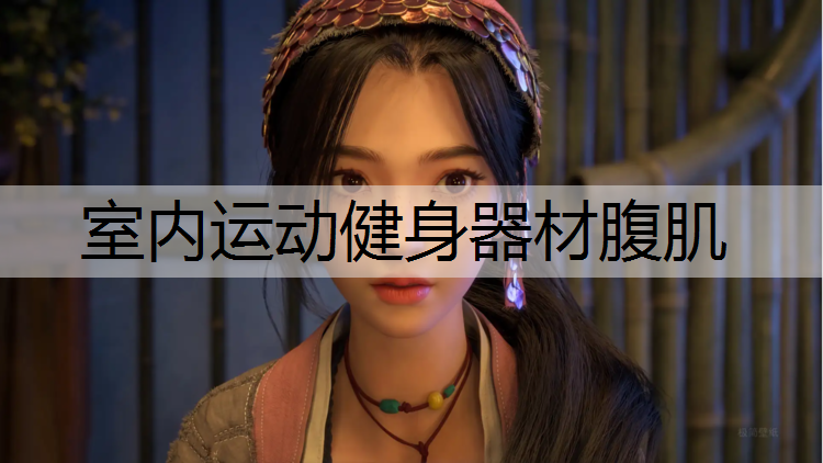 室内运动健身器材腹肌